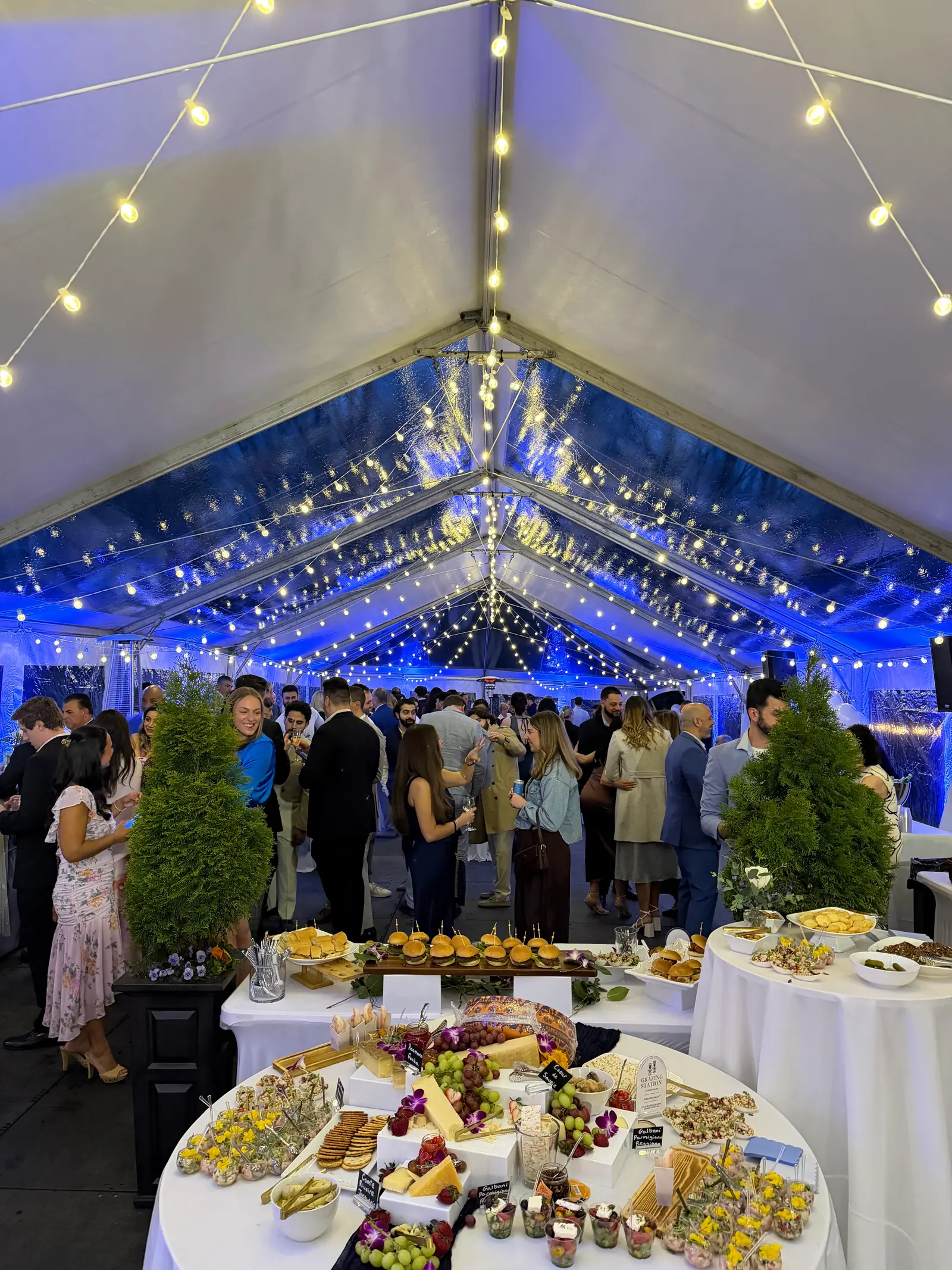 Catering and grazing table styled for a Greek event